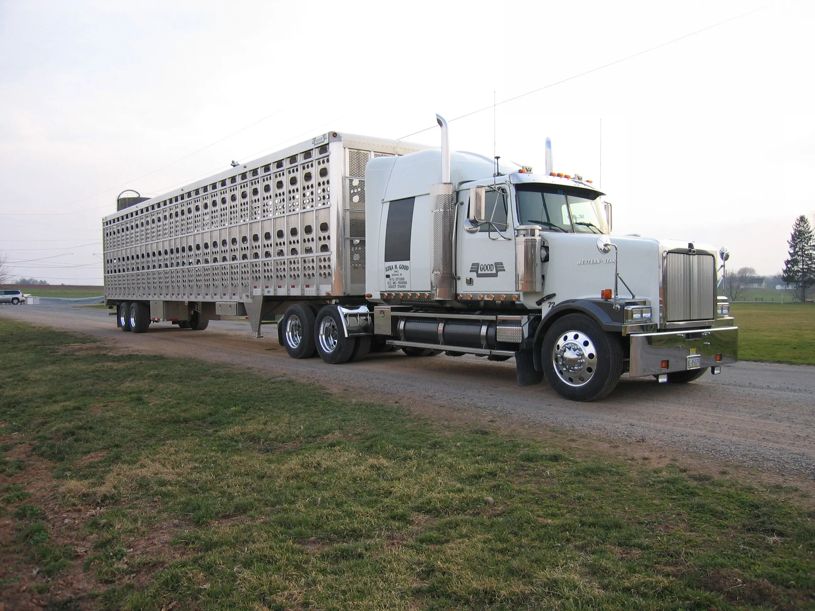 Cattle hauling semi truck parked in a grassy field at sunset